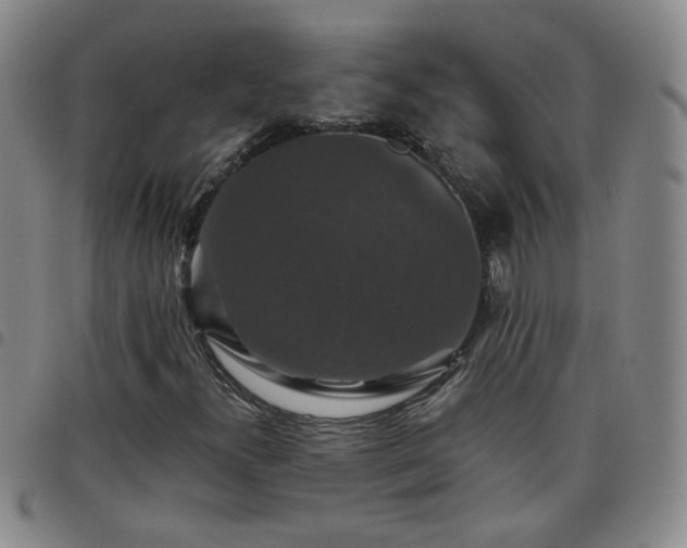 X0000098151300200804241729