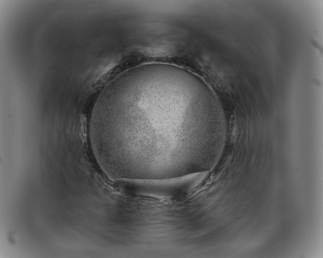 X0000098151301200804241729