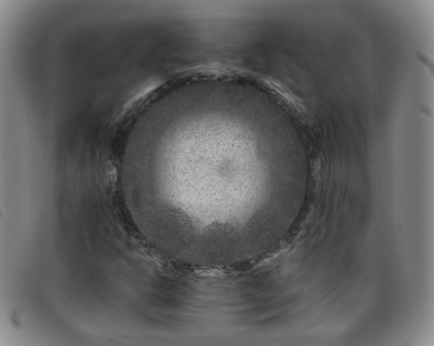 X0000098151302200804241729