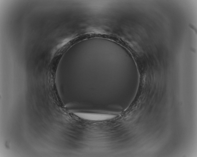 X0000098151303200804241729