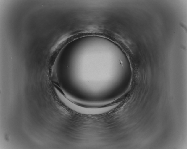 X0000098151304200804241729