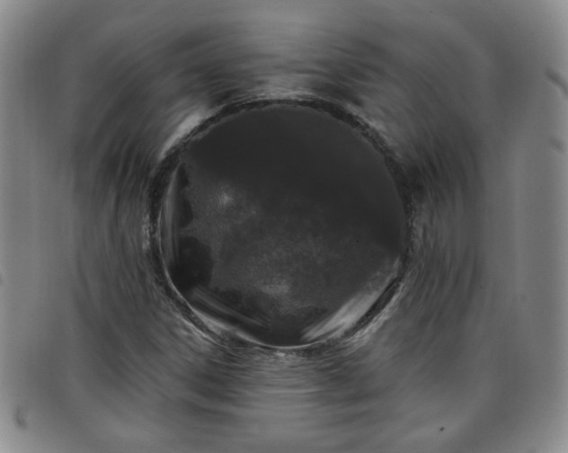 X0000098151306200804241729