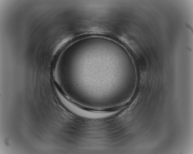 X0000098151307200804241729