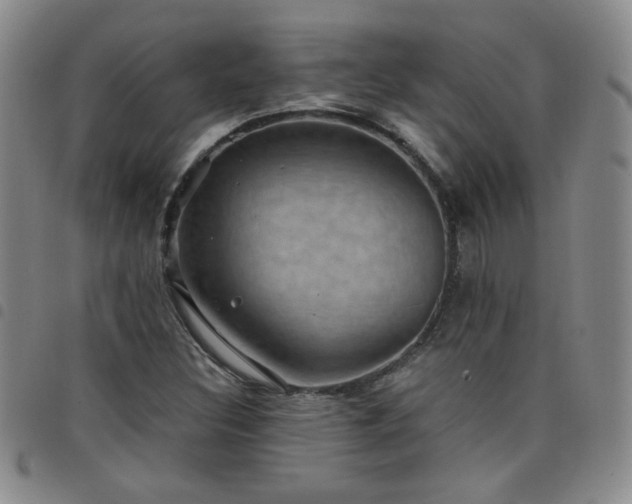 X0000098151308200804241729