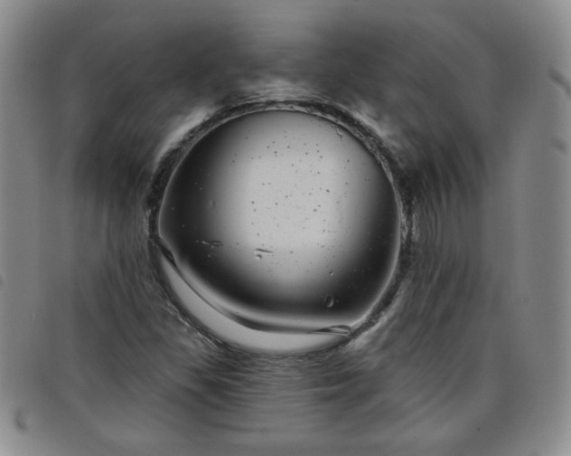 X0000098151309200804241729