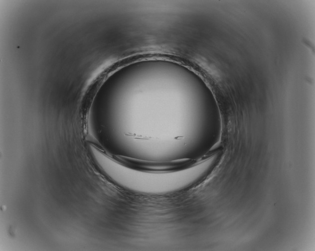 X0000098151310200804241729