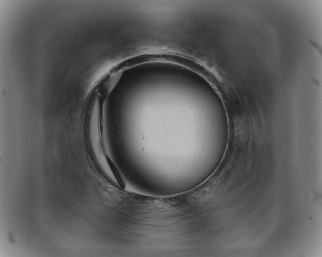 X0000098151311200804241729