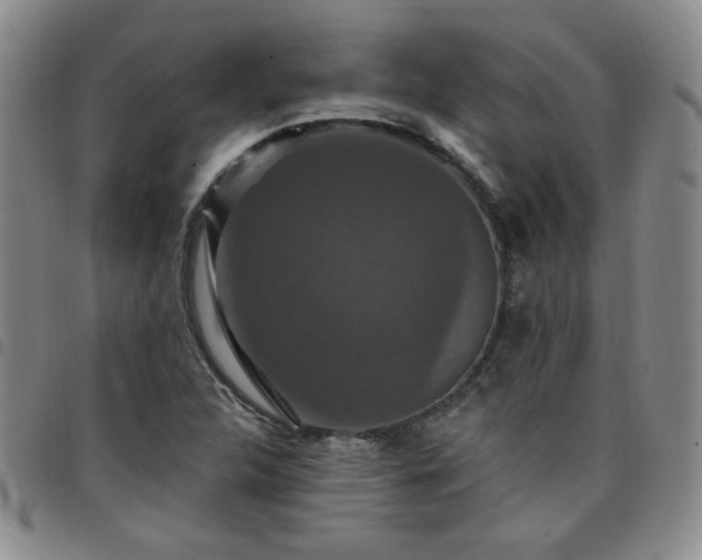 X0000098151312200804241729