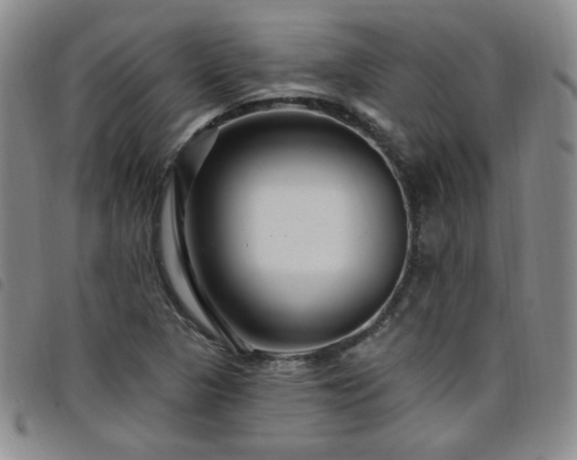 X0000098151313200804241729