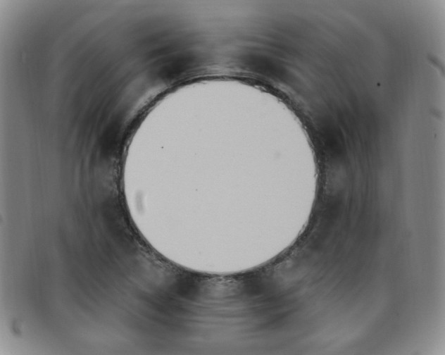 X0000098151314200804241729