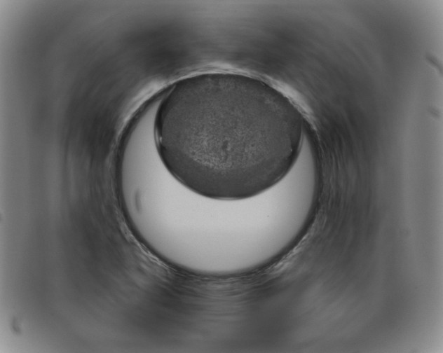 X0000098151318200804241729