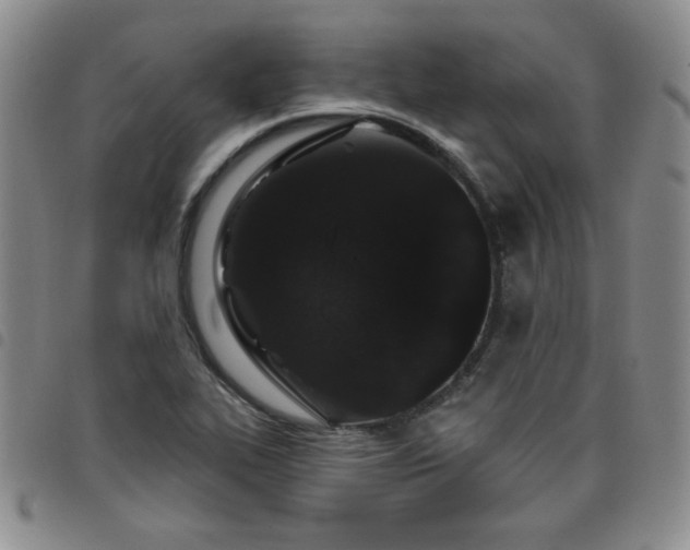 X0000098151319200804241729