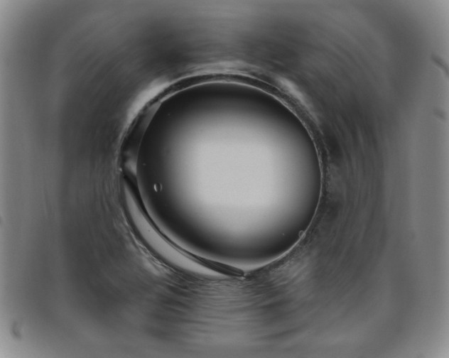 X0000098151320200804241729