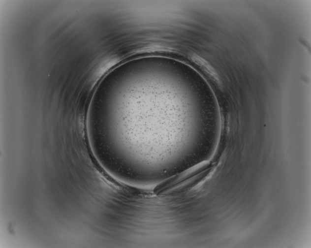 X0000098151321200804241729