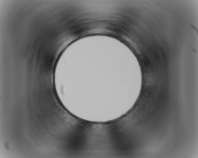 X0000098151322200804241729