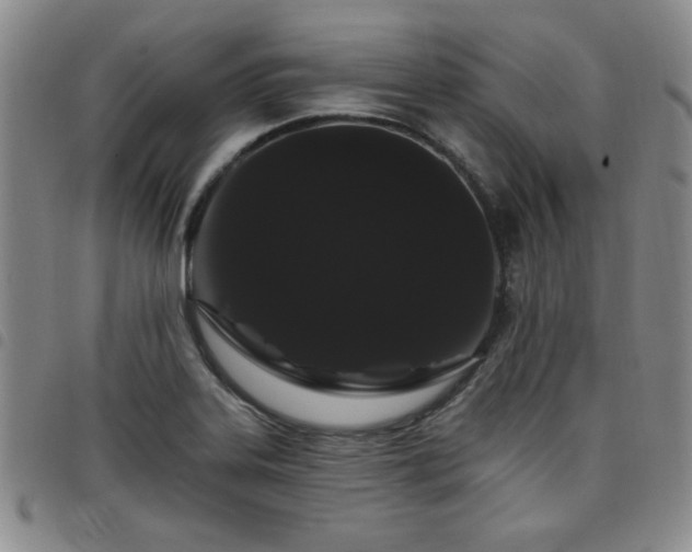 X0000098151323200804241729