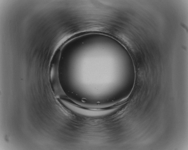 X0000098151324200804241729