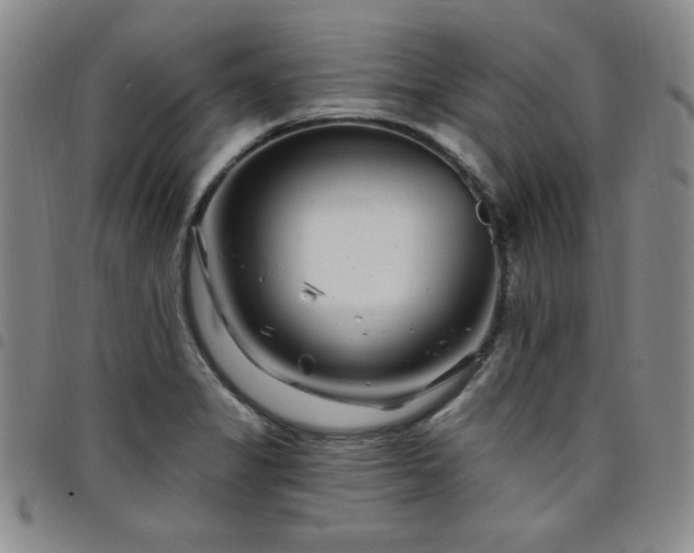 X0000098151325200804241729