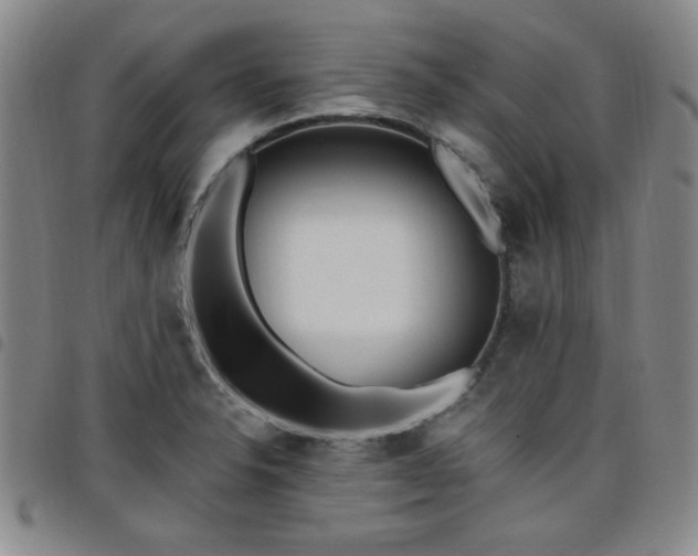 X0000098151326200804241729