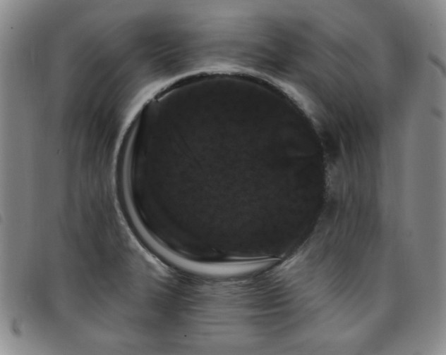 X0000098151327200804241729