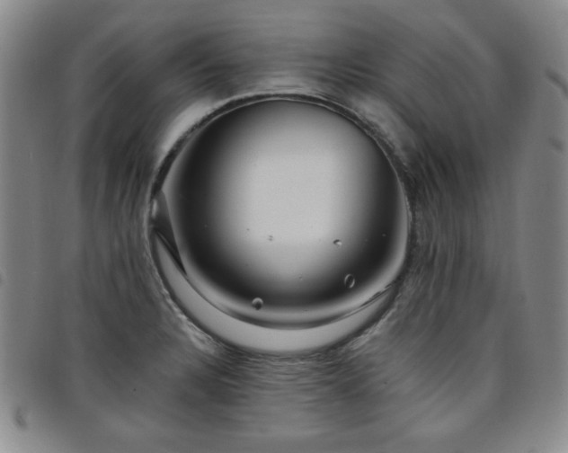X0000098151328200804241729