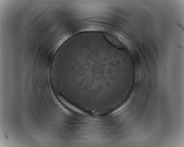X0000098151329200804241729