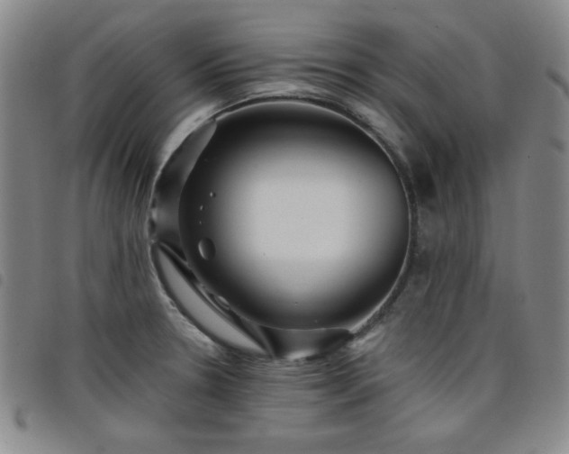 X0000098151330200804241730