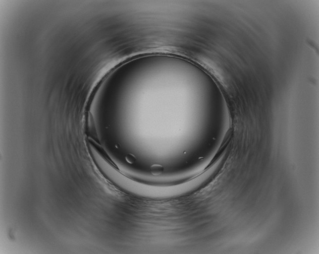 X0000098151332200804241730