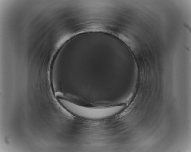 X0000098151334200804241730