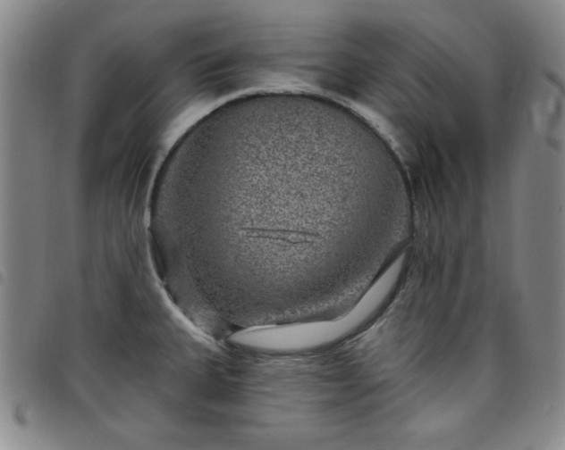 X0000098151335200804241730