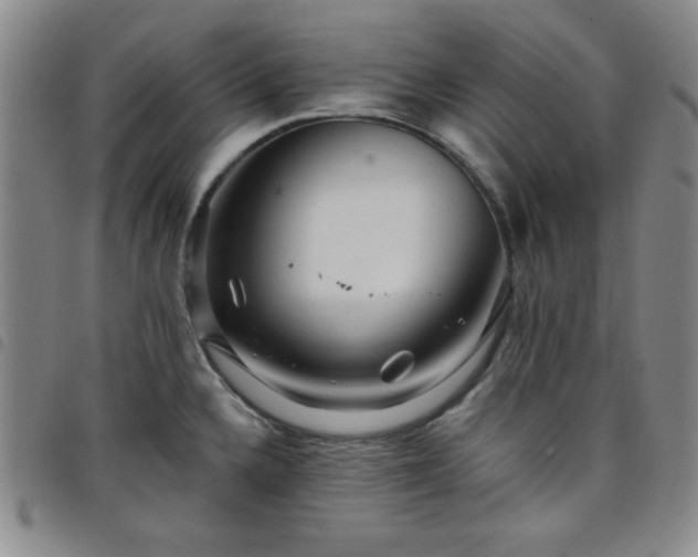 X0000098151336200804241730