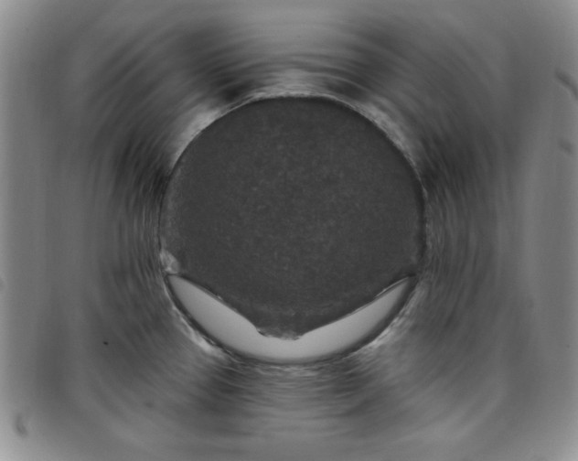 X0000098151337200804241730