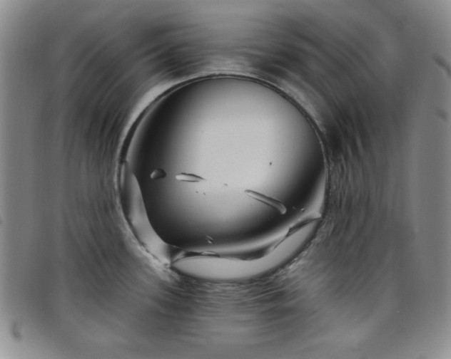 X0000098151339200804241730