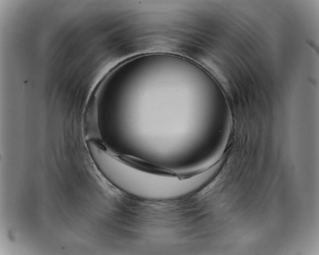 X0000098151340200804241730
