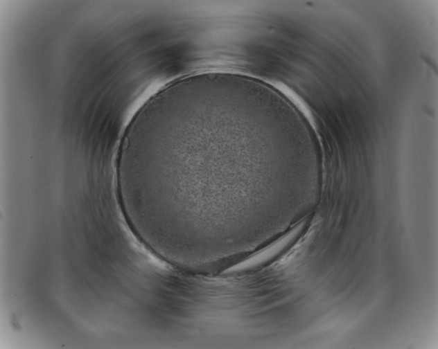 X0000098151341200804241730