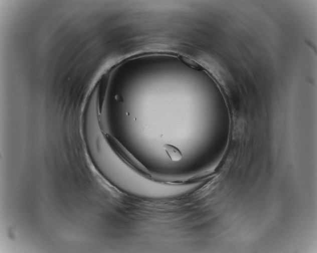 X0000098151342200804241730
