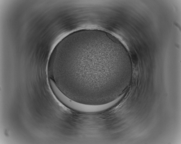 X0000098151343200804241730