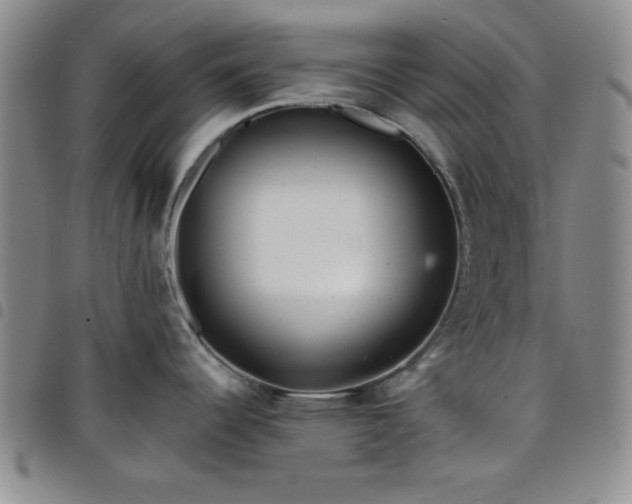 X0000098151344200804241730