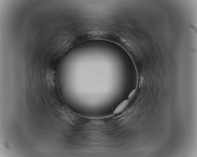 X0000098151346200804241729