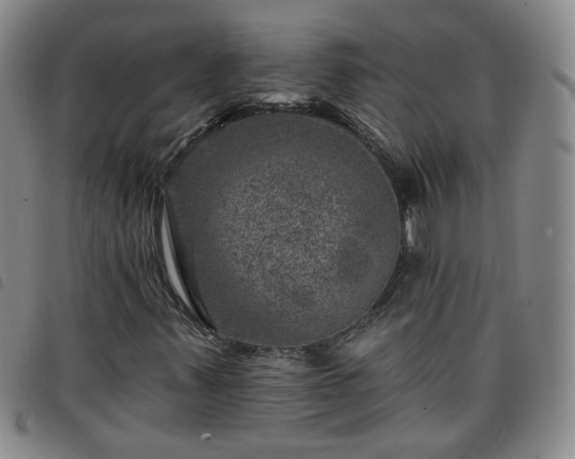 X0000098151347200804241729