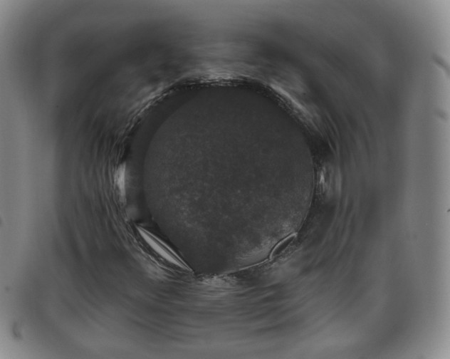 X0000098151348200804241729