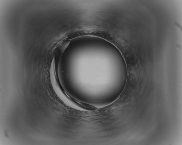 X0000098151349200804241729