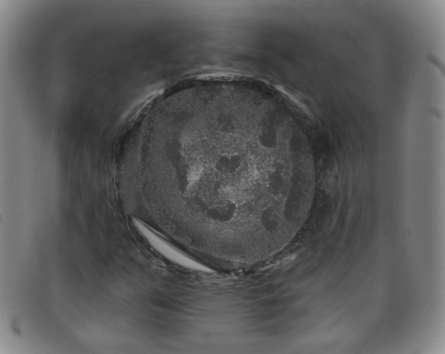 X0000098151351200804241729