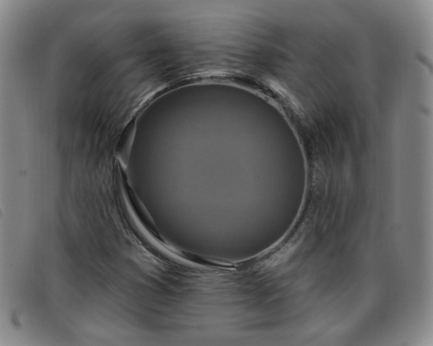 X0000098151353200804241729