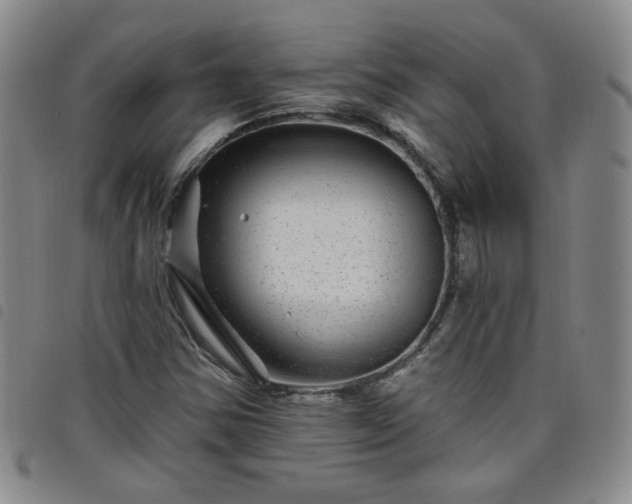 X0000098151354200804241729