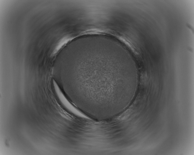 X0000098151355200804241729