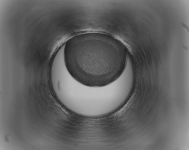 X0000098151357200804241729
