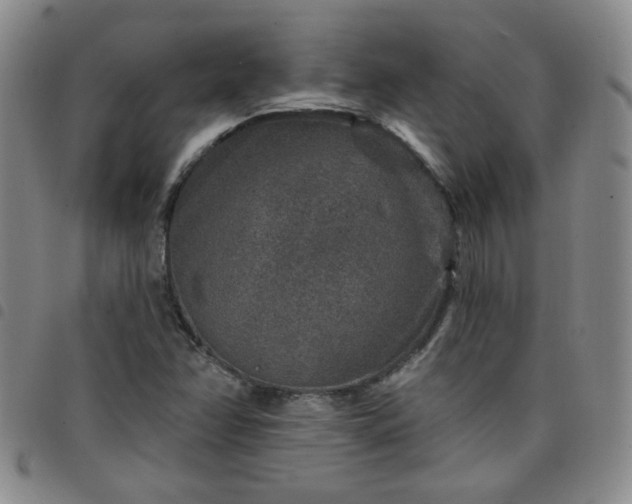 X0000098151358200804241729