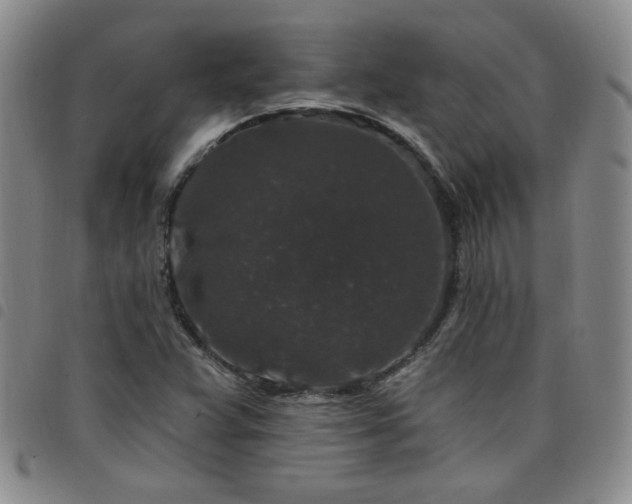 X0000098151359200804241729