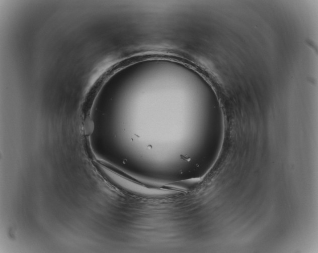 X0000098151360200804241729